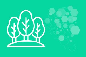 Forestry & Environment