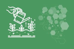 Agriculture & Allied